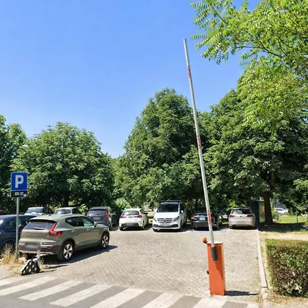 Park - Center - Free Parking